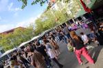rave_8mai2015_5